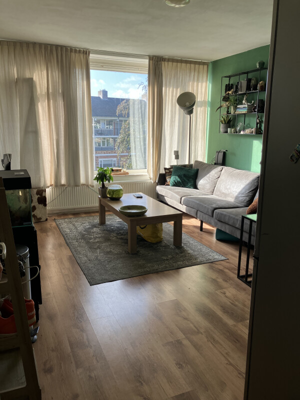 Ringweg Randenbroek, Amersfoort